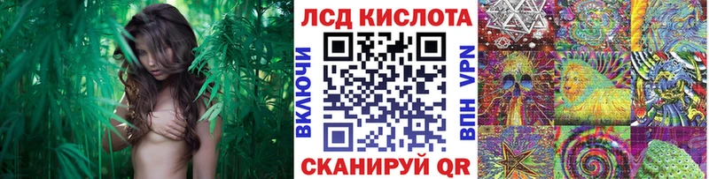 Купить  Абакан  Марки NBOMe 1500мкг 