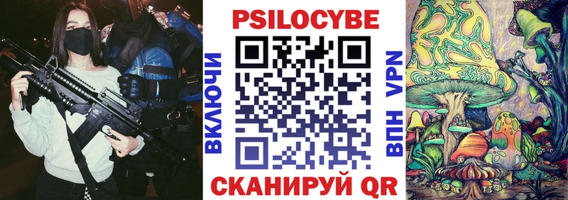Купить где  Абакан  Псилоцибиновые грибы Magic Shrooms 